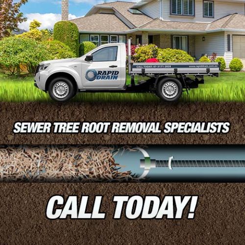 Sewer Tree Root Removal Specialists In Brisbane